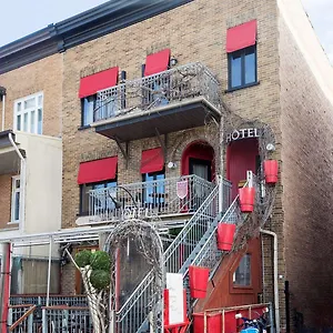 Hotel Petit - Café Krieghoff